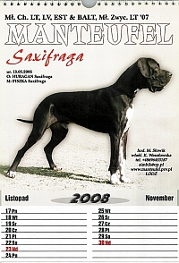 reklama z Kalendarza Polskiego Klubu Doga Niemieckiego 2008